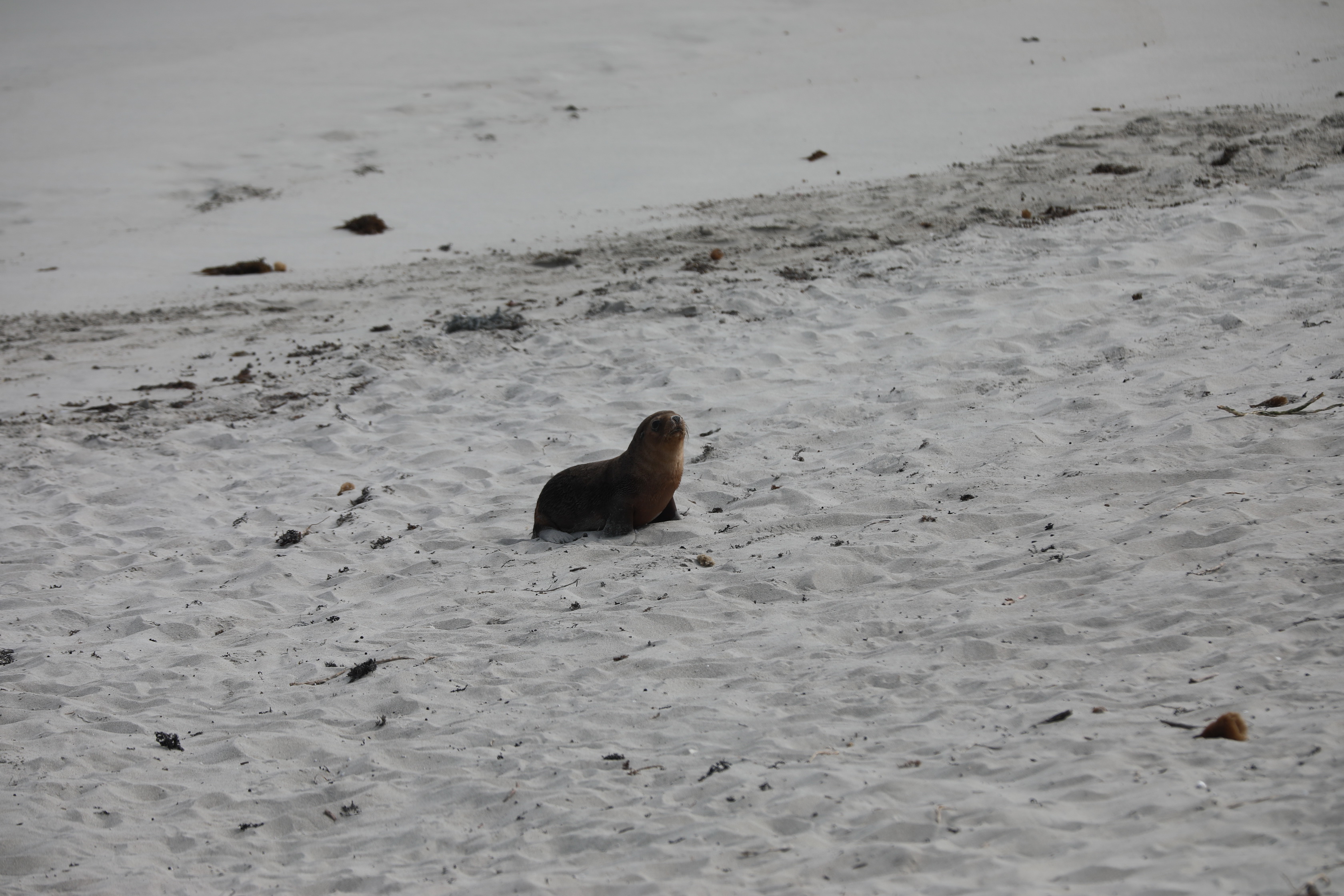 2019 09 29 13 53 08 Canon EOS 5D Mark IV 0041